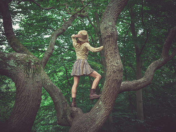 Climbing a Tree In a Dream: Spiritual Meaning