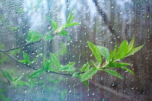 Understanding the Spiritual Meaning of Rain