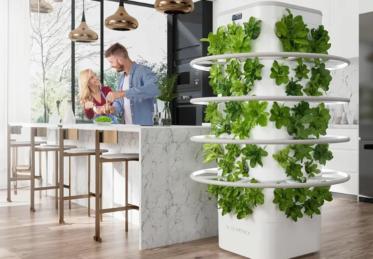 10 Easy Ideas for Vertical Hydroponic Gardening For Indoors