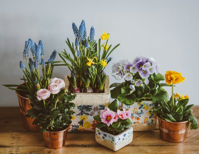 How to Grow Flowers Indoors: Bring Color Into Your Home