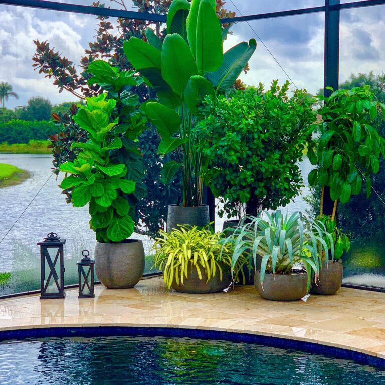 How to Style Planters Around Your Pool