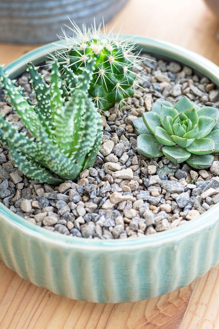 25 Mesmerizing Pebble Landscapes That Instantly Elevate Your Outdoor Space