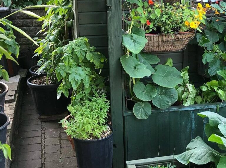 Small Vegetable Gardens: Big Harvests from Little Spaces