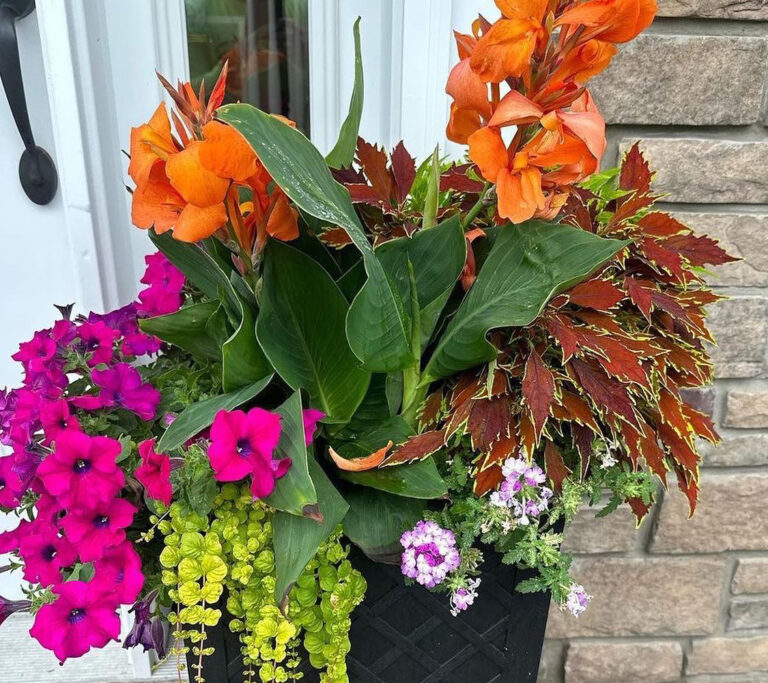 From Porch to Patio: Gorgeous Planter Inspiration for Every Corner