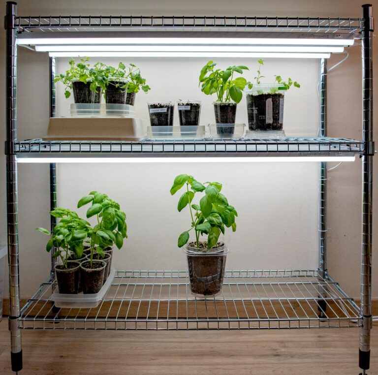 The Ultimate Guide to Indoor Grow Light Gardening: Setup, Tips & Tools