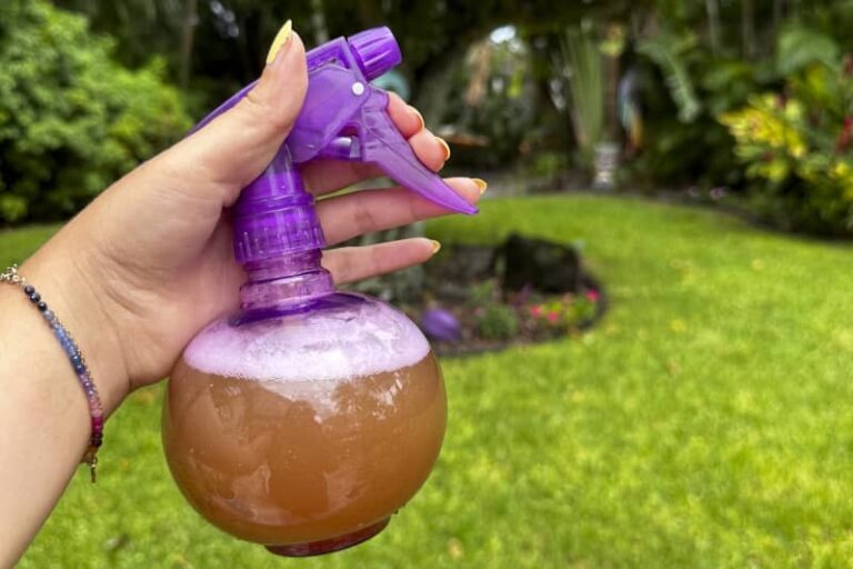 How to Make DIY Mosquito Repellent