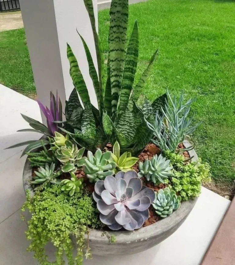 Fall Planter Ideas to Keep the Garden Glow Going