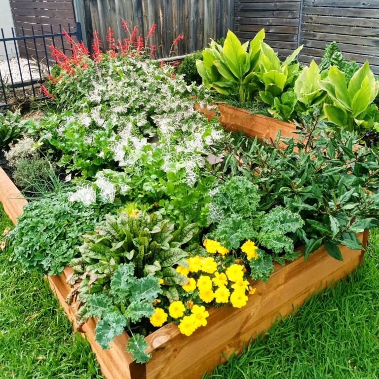 Home Garden That Just… Work (Even If You’re Not a Green Thumb)
