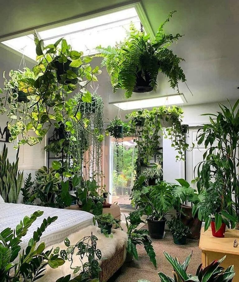 Houseplant Display Ideas That Just Feel Right