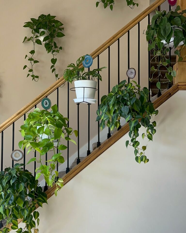 How to Style Plants on Indoor Stairs