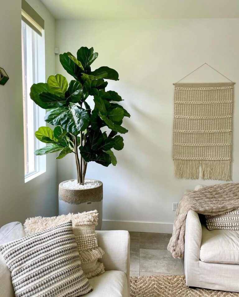 Big Plants: Styling Large Indoor Plants in the Living Room