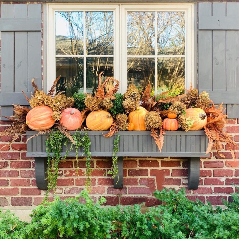 Fall Window Boxes Ideas: Cozy, Casual, and Totally You
