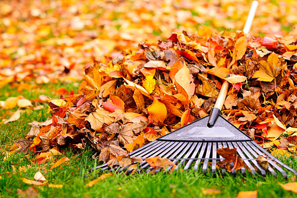 Fall Cleaning Checklist for Home and Yard